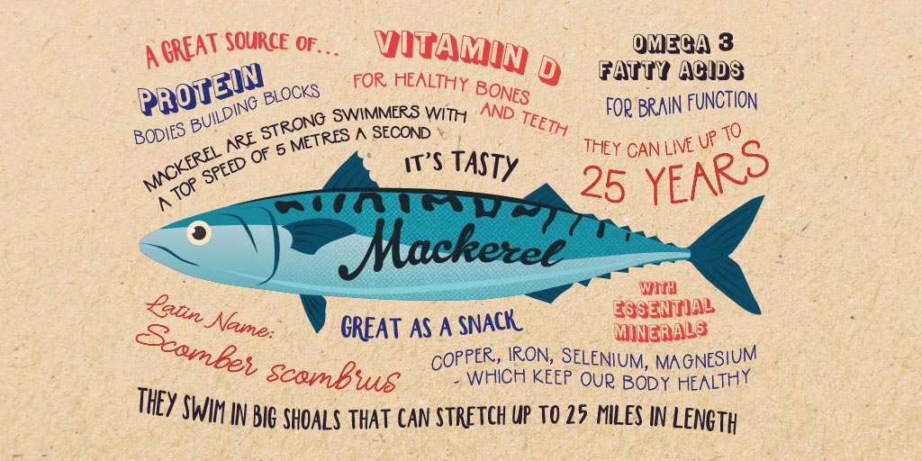 typographic illustration of fish facts