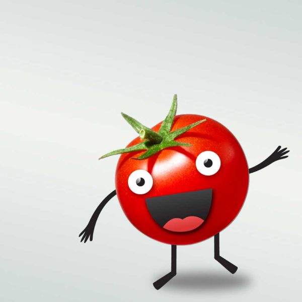 childrens book character illustration of tomato
