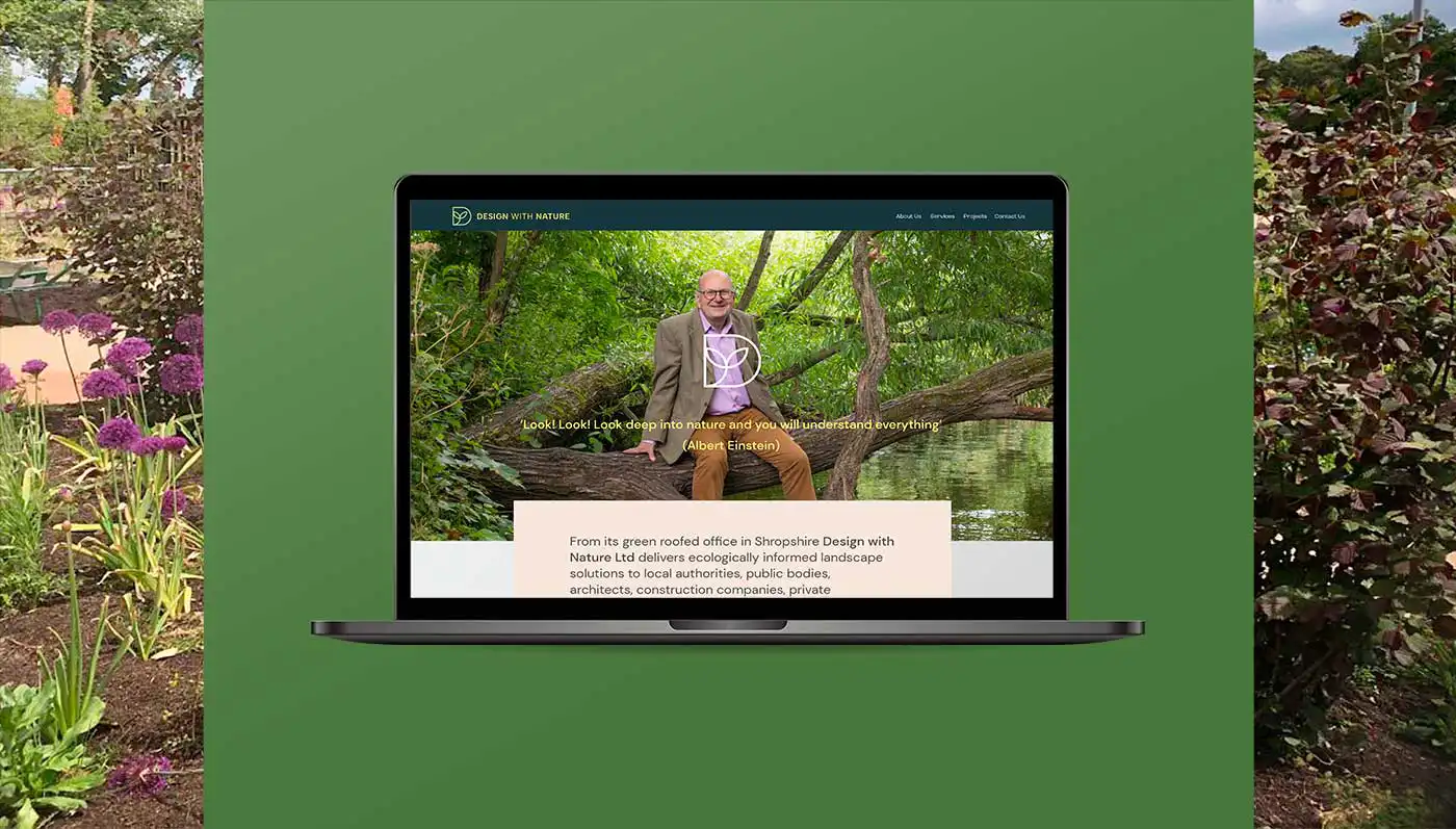 website design showing professional photography