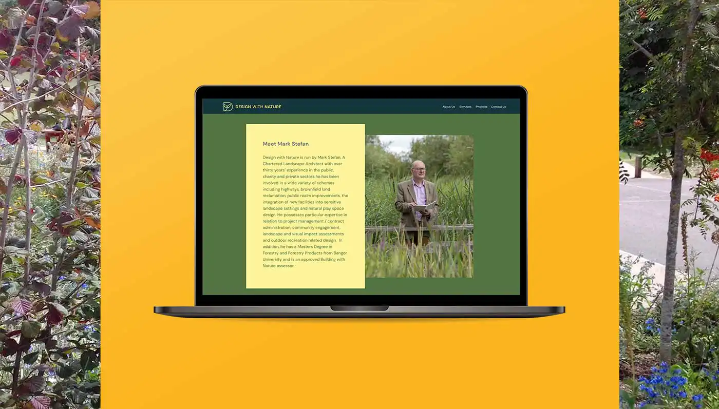 website design on orange background