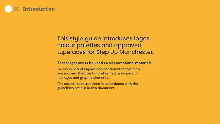 Step Up MCR_Brand Guides_v1_Page_02